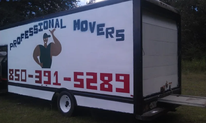 Professional Movers photo 1
