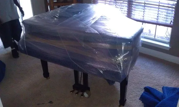 Professional Movers photo 5