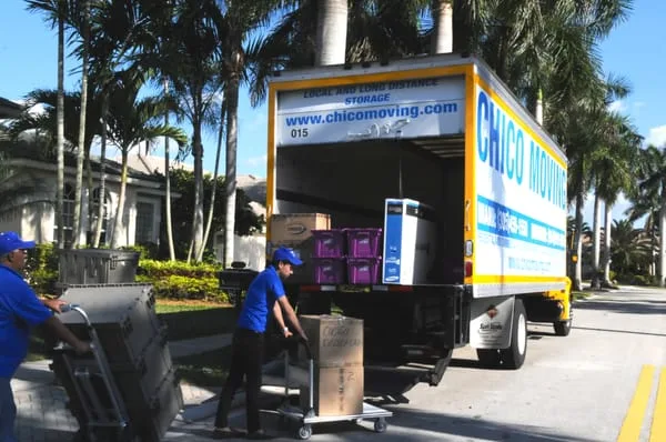 Chico Moving photo 4